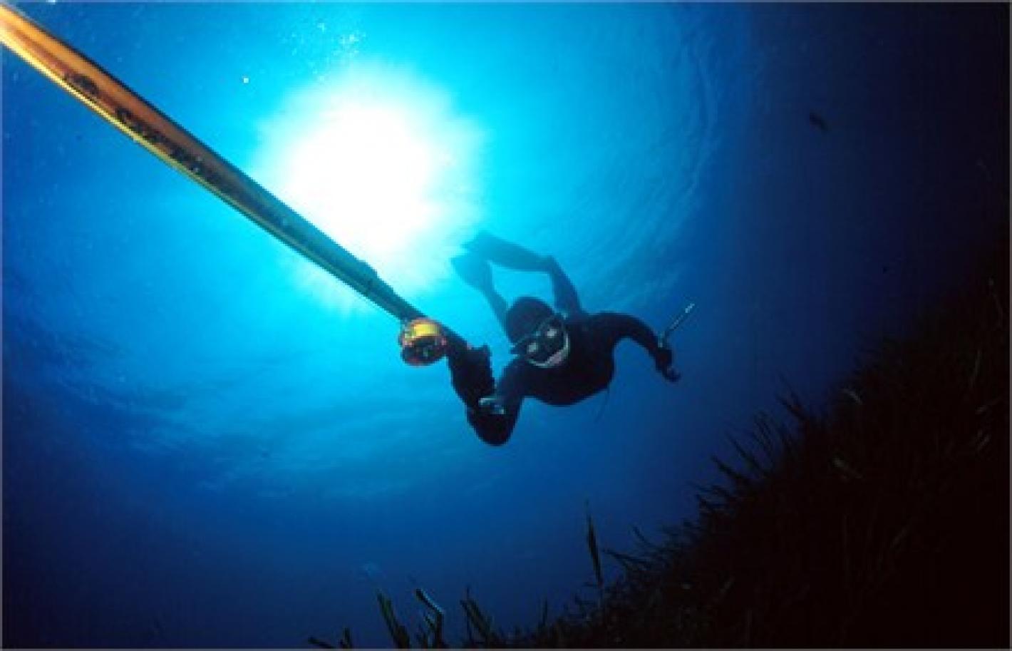 images/documenti/attivita_subacquee/ischia2015/medium/Foto pesca in apnea.jpg